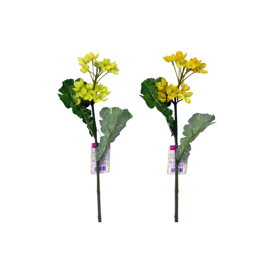 Short Stem Rape Blossoms