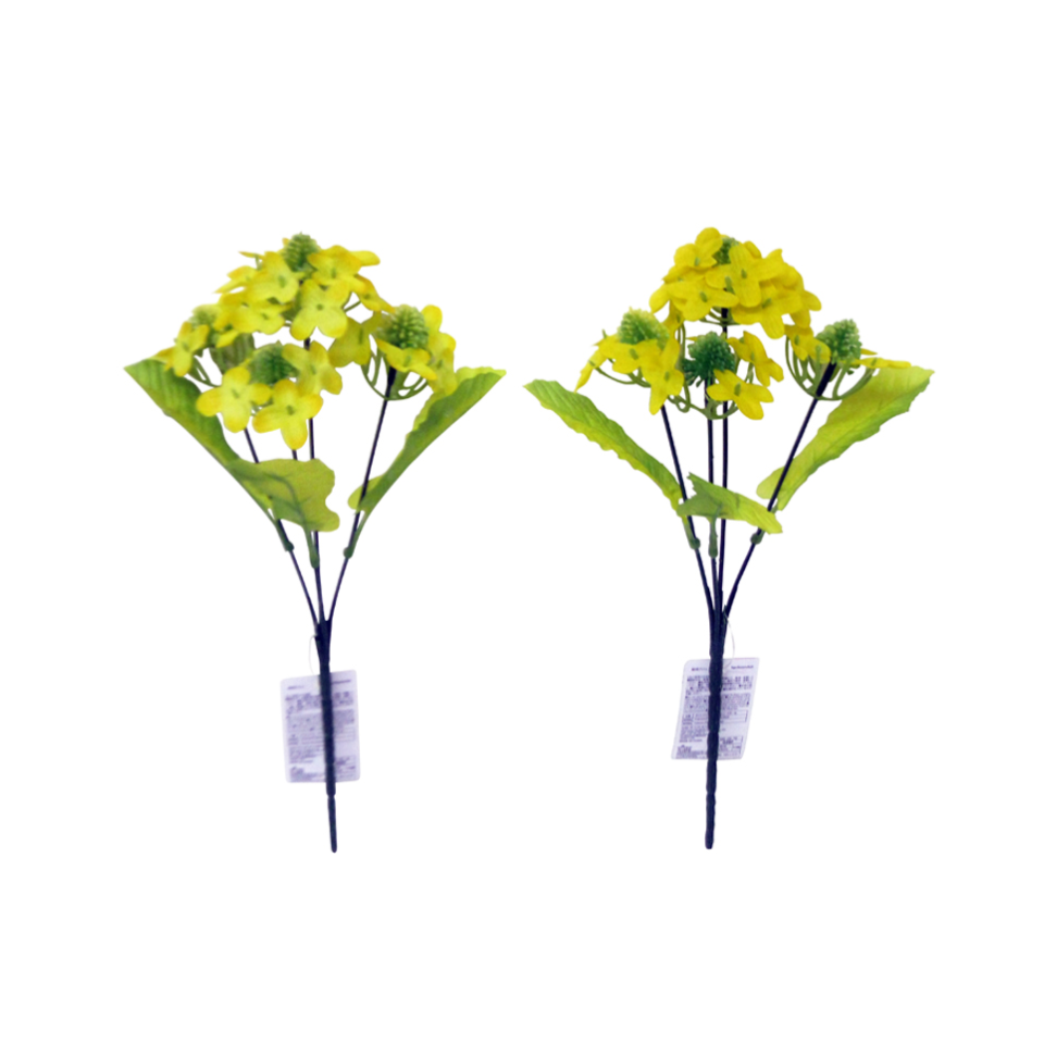 Rape Blossoms Bush