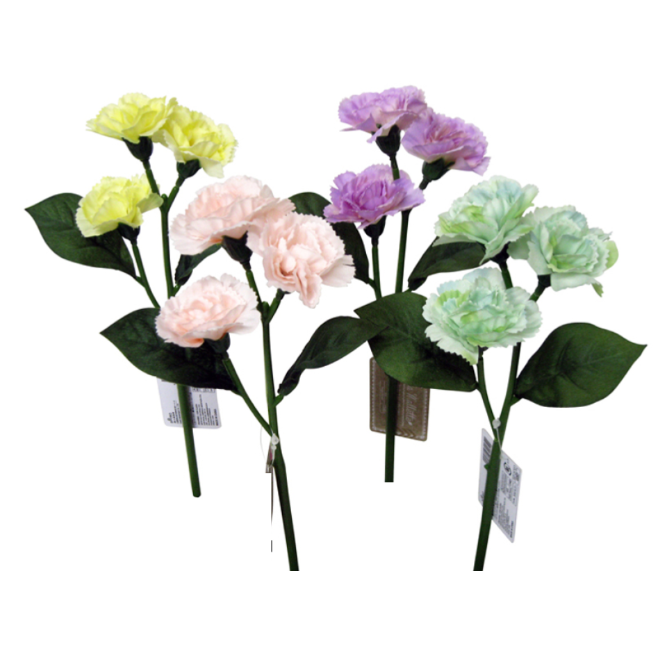 Carnation Clair