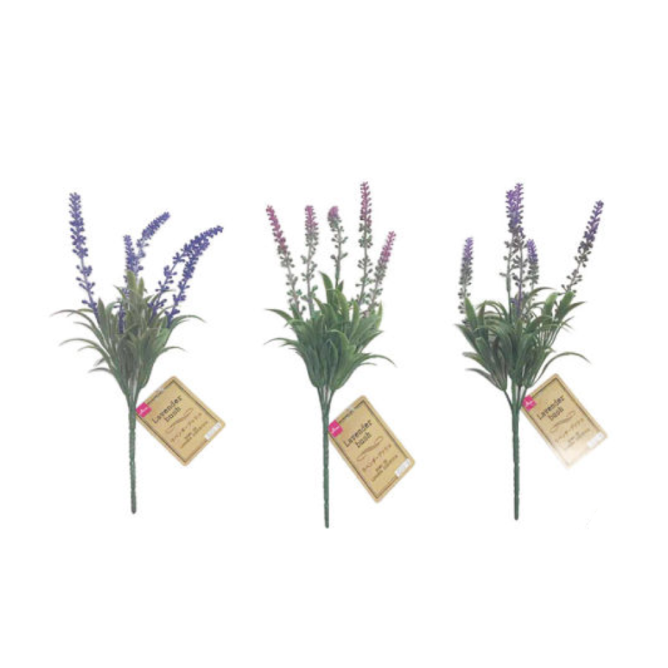 Lavender Bush