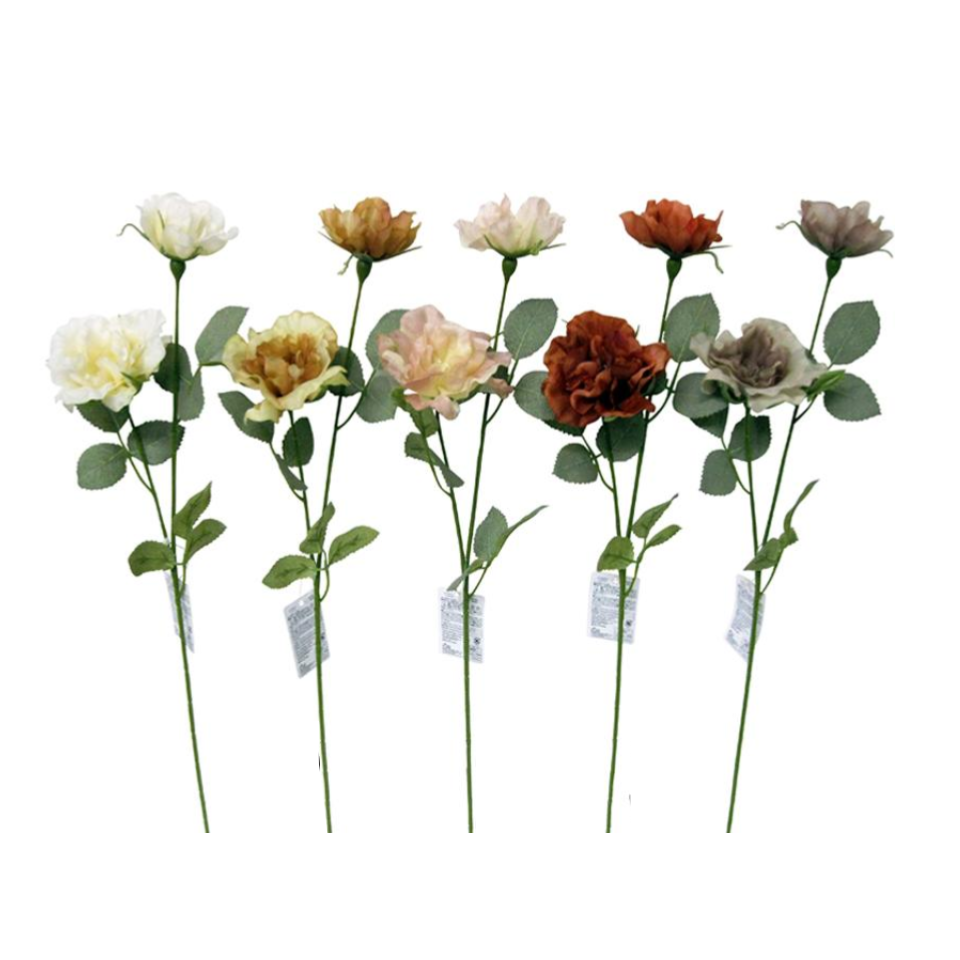 Rose Spray Nuance