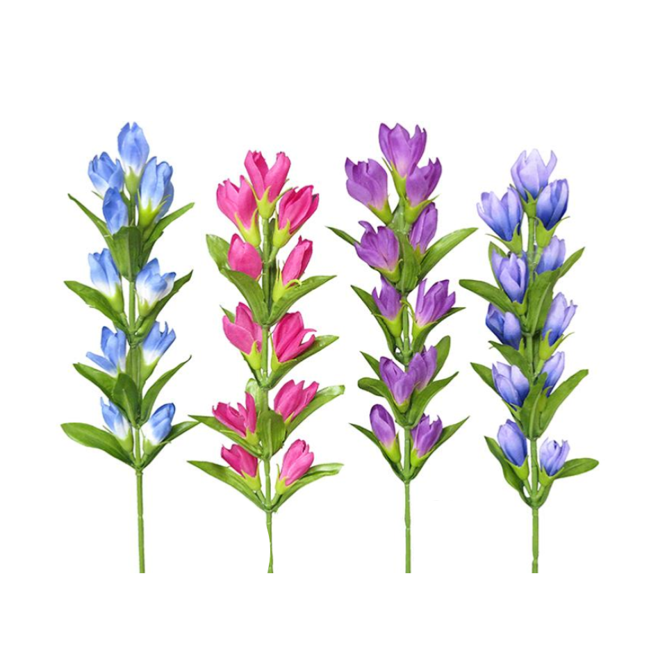 Gentian