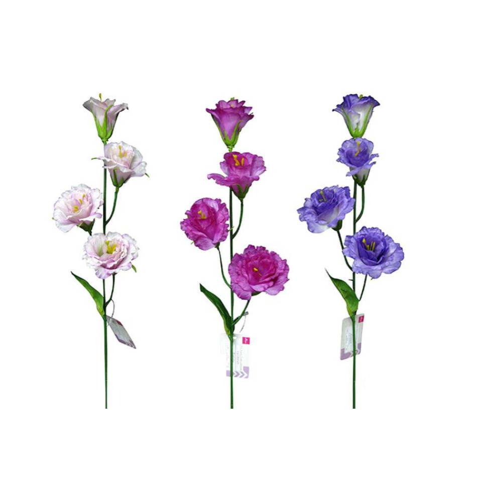 Eustoma