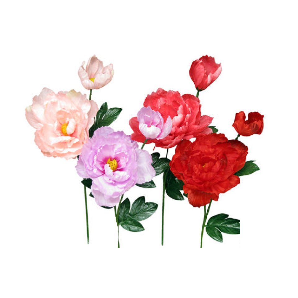 Peony