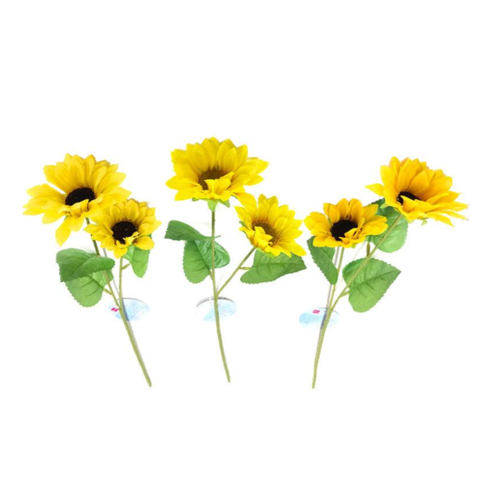 Sunflower Two