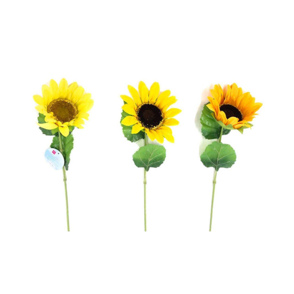 Short Sunflower