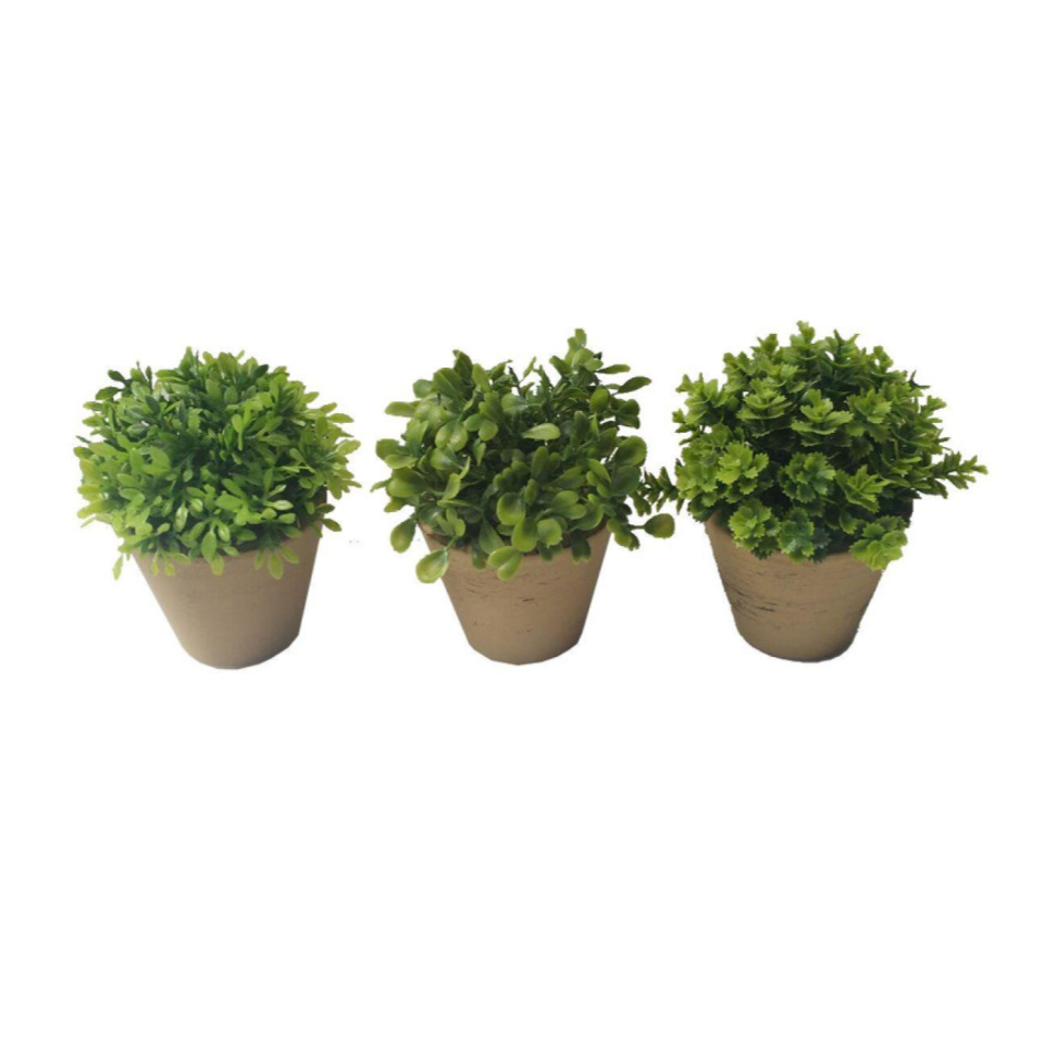 Green Pot