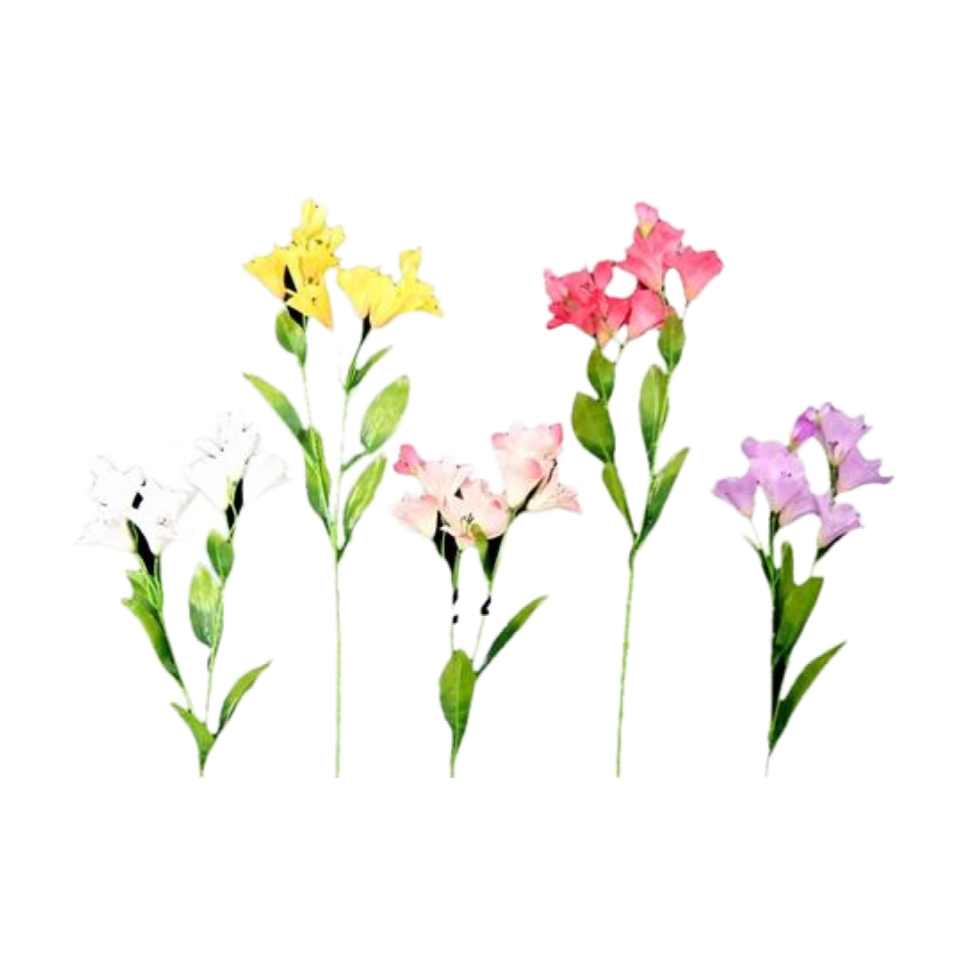 Alstroemeria