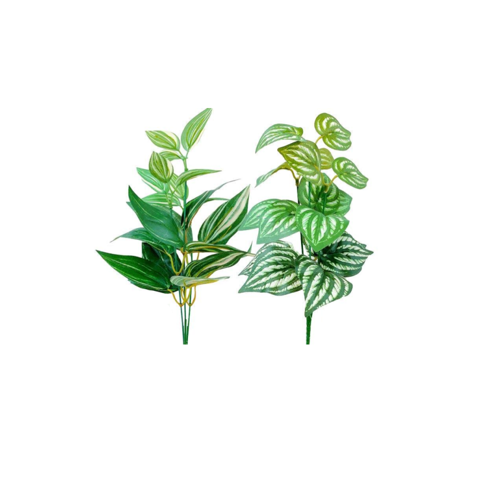 Green Bush Natural