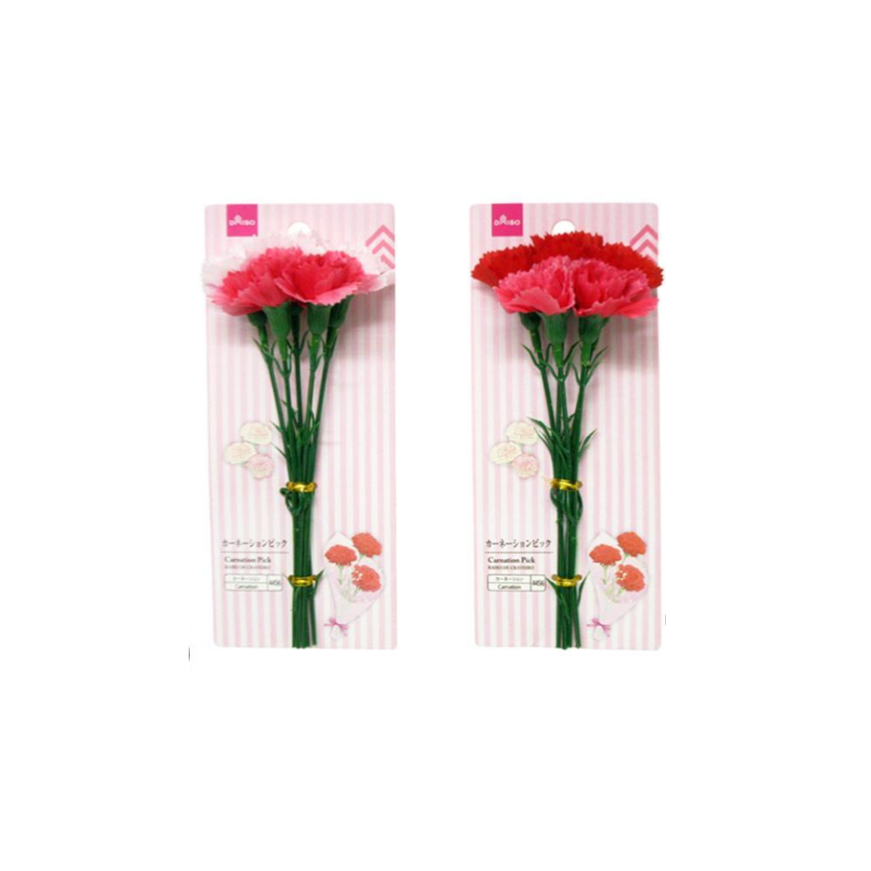 Carnation Pick
