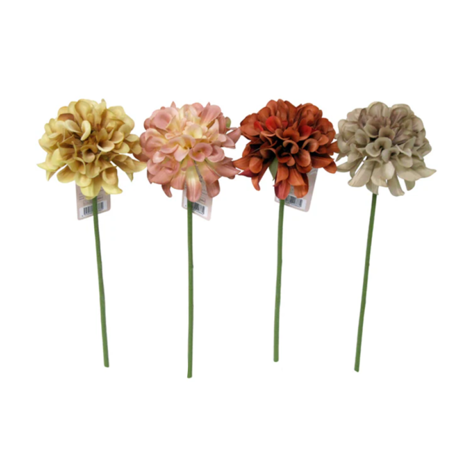 Short Stem Dahlia Nuance