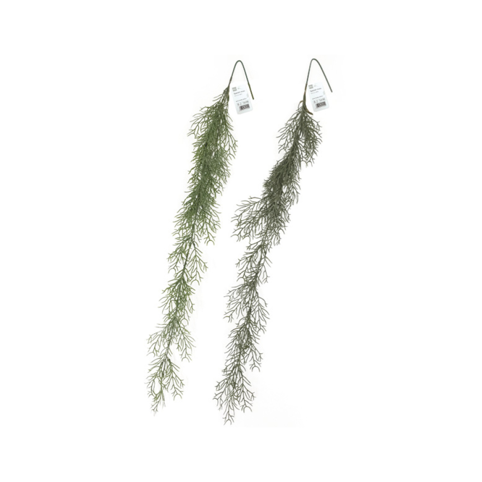 Spanish Moss