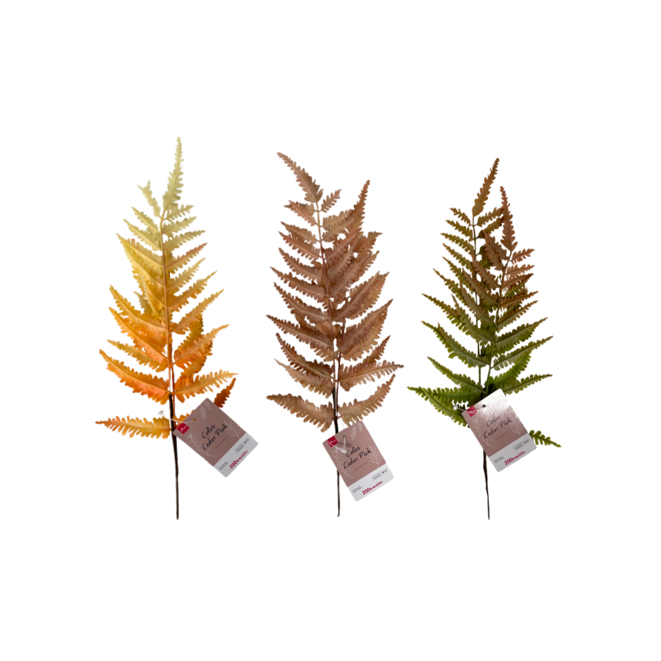 Colored Cedar Picks