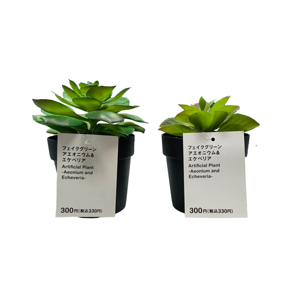 Artificial Plant Aeonium and Echeveria