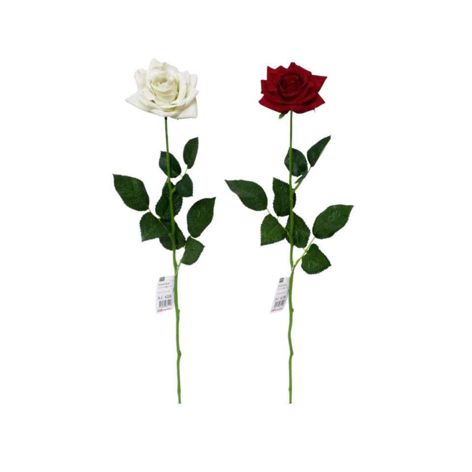 Velvet Rose