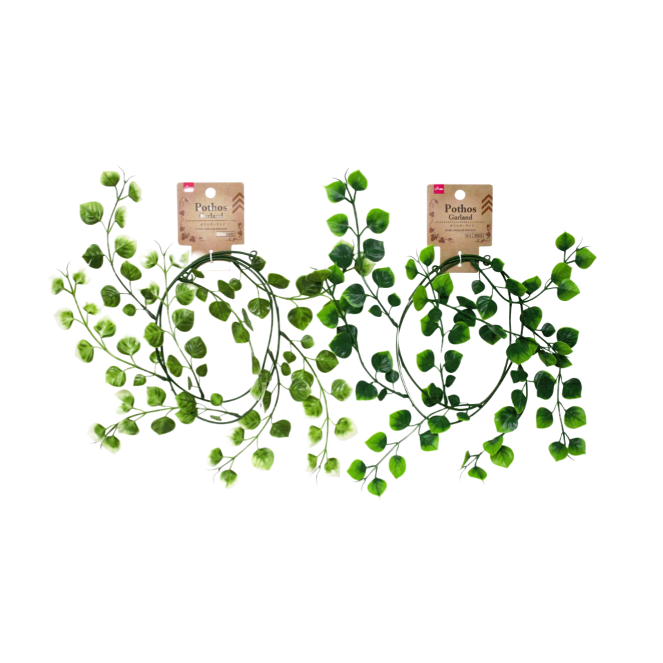 Pothos Garland