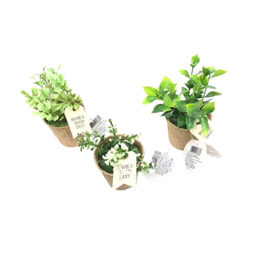 Garden Pot A
