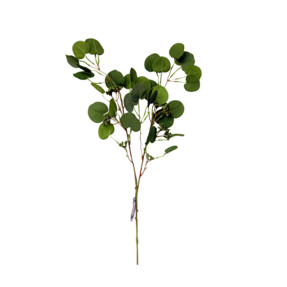 Eucalyptus Spray