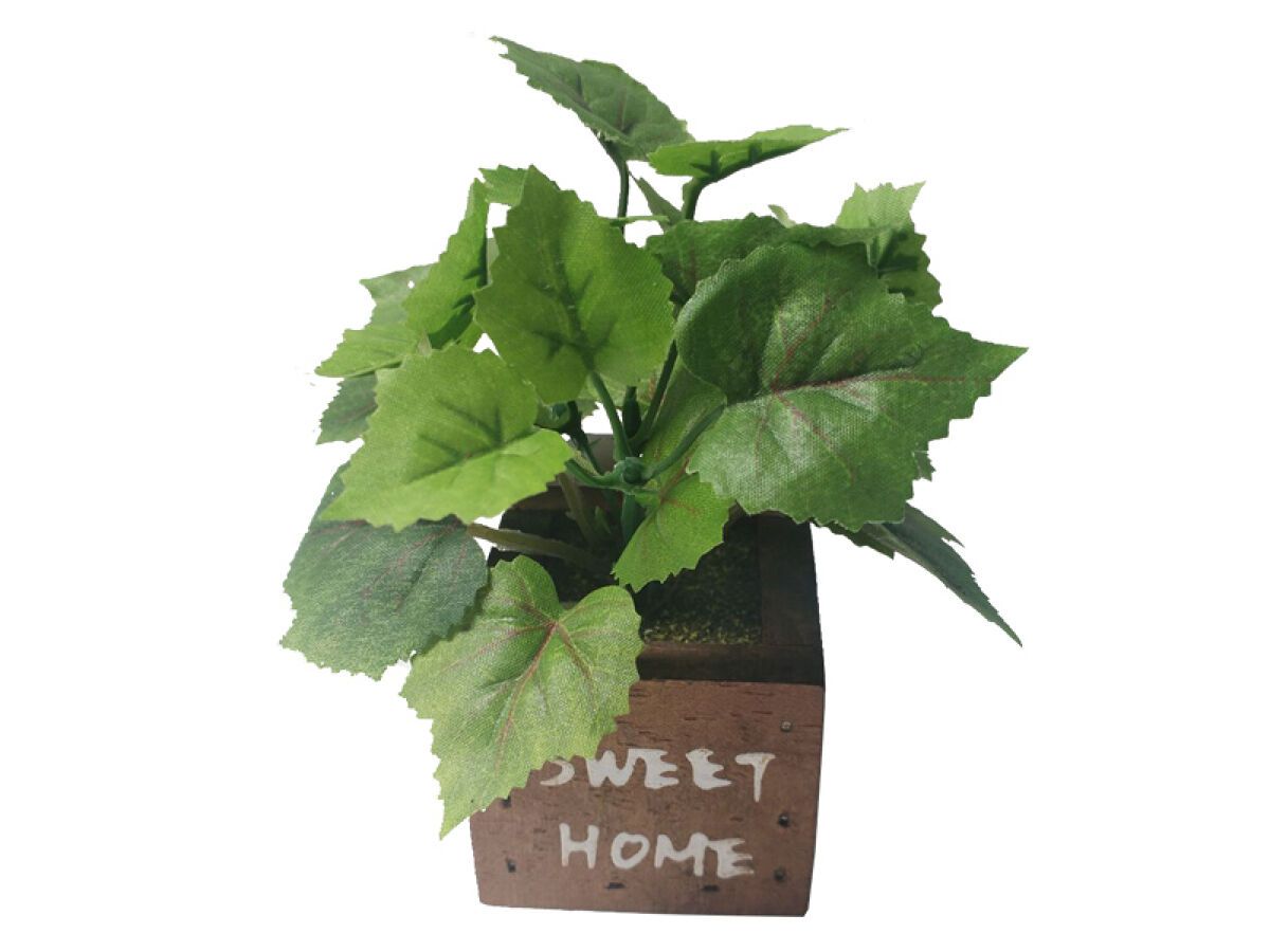 Green Pot Wood Case