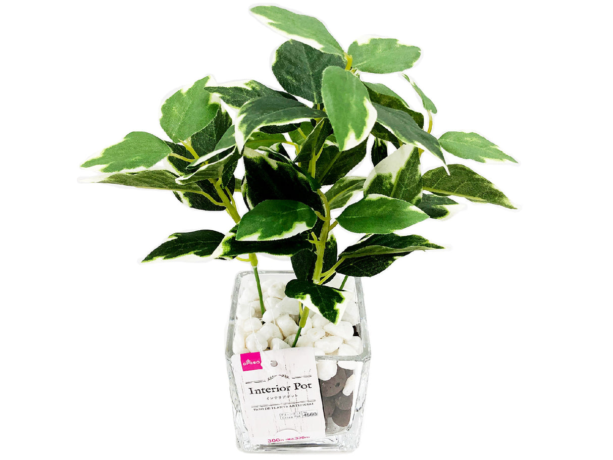 Interior Pot