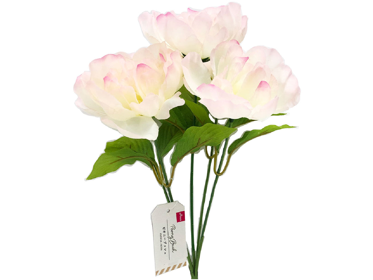 Peony Bush Pink
