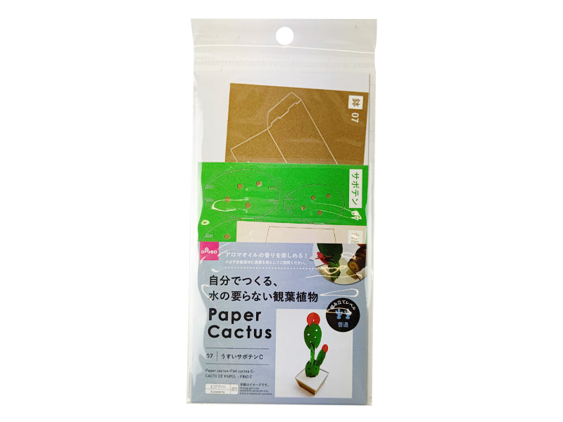 Paper Cactus Flat Cactus C