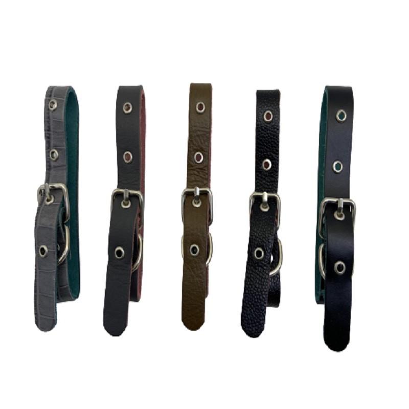 Dogs Collar