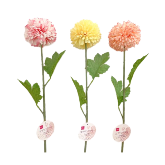 Spring Mum