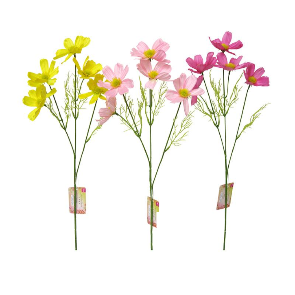 Cosmos