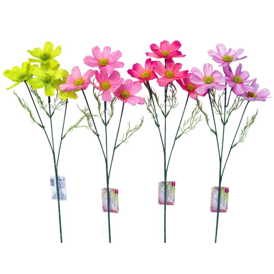 Cosmos