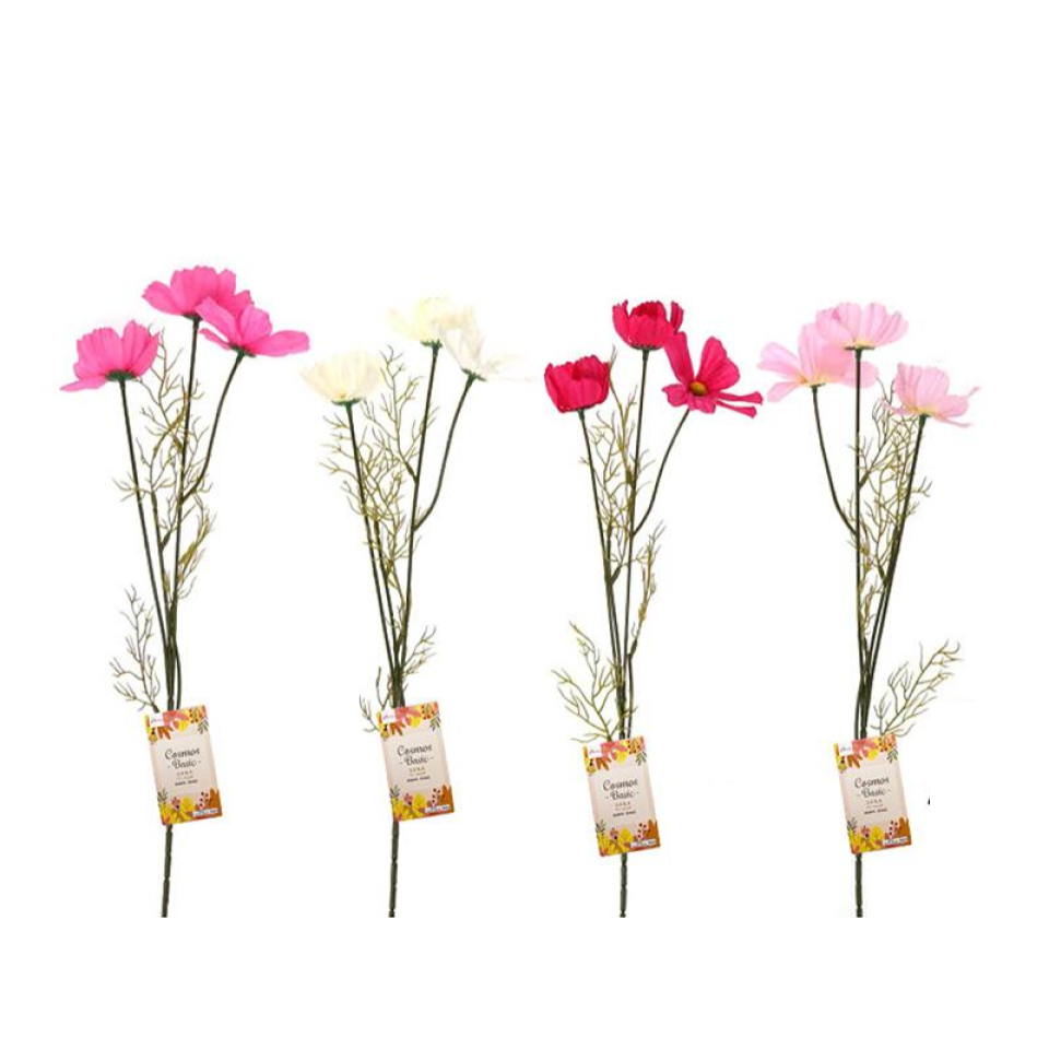 Cosmos Basic