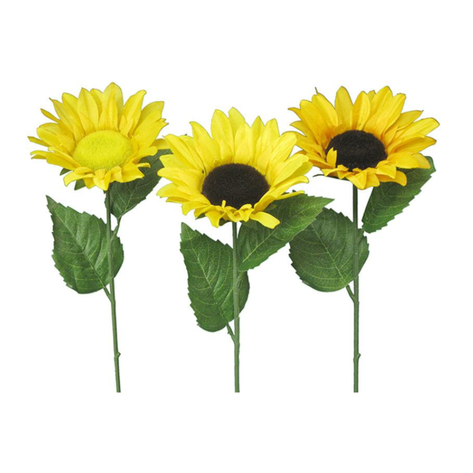 Single Sunflower