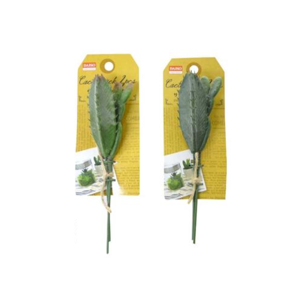 Cactus Pick Two
