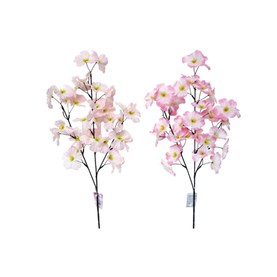 Large Sakura