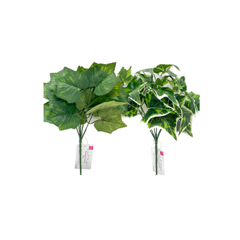 Green Bush Ivy