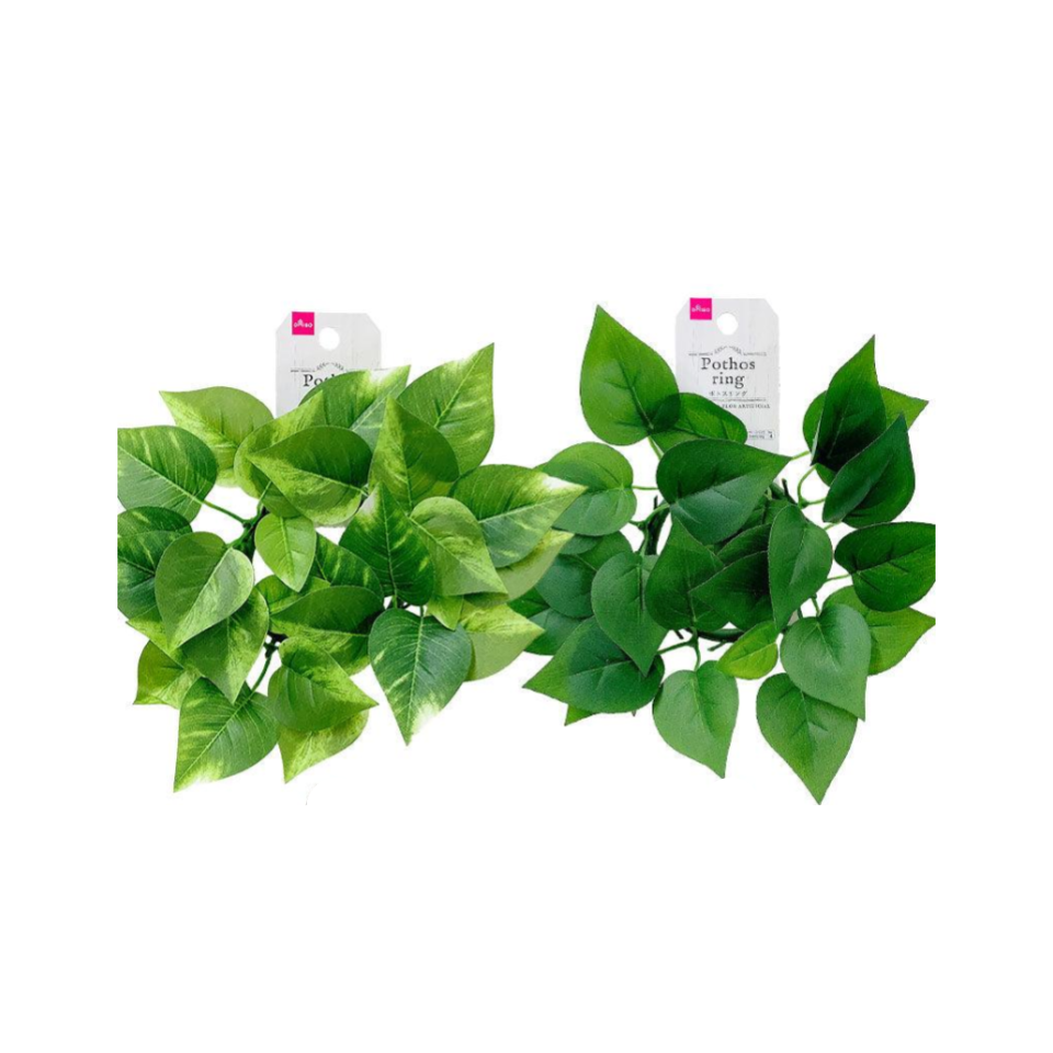Pothos Ring