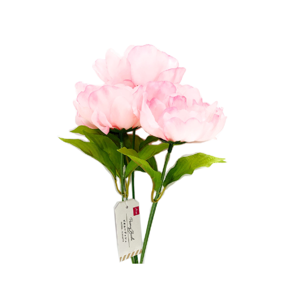 Peony Bush Beauty