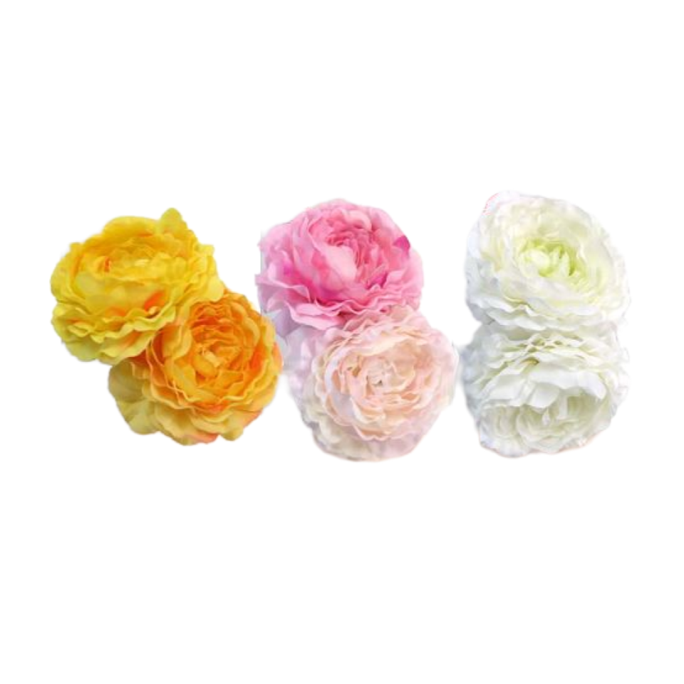 Ranunculus Pick Set of Two