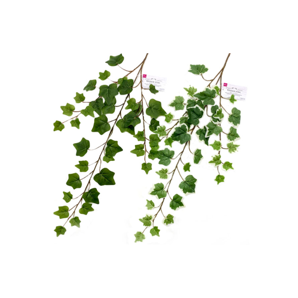 Green Vine