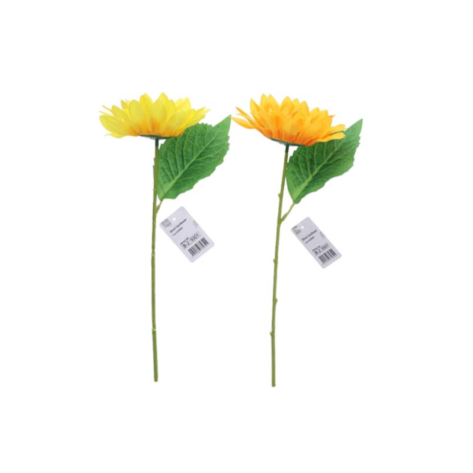 Short Sunflower