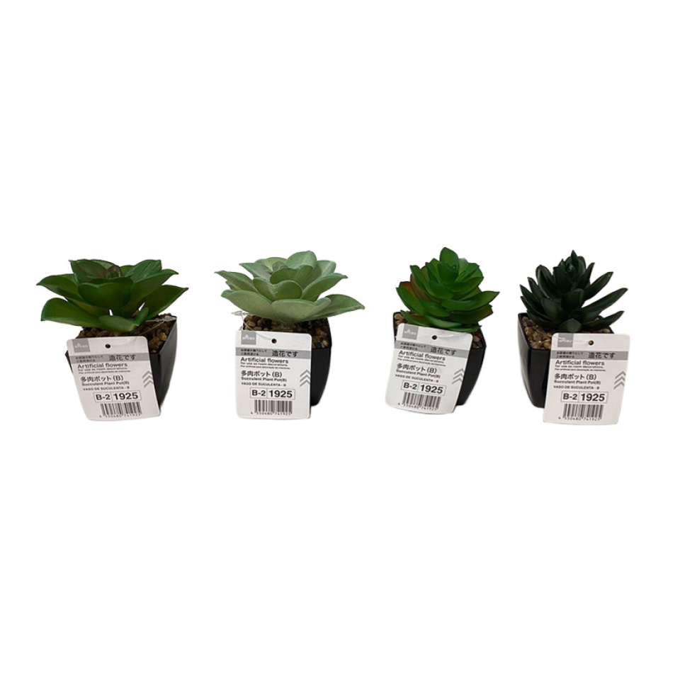 Succulent Plant Pot B