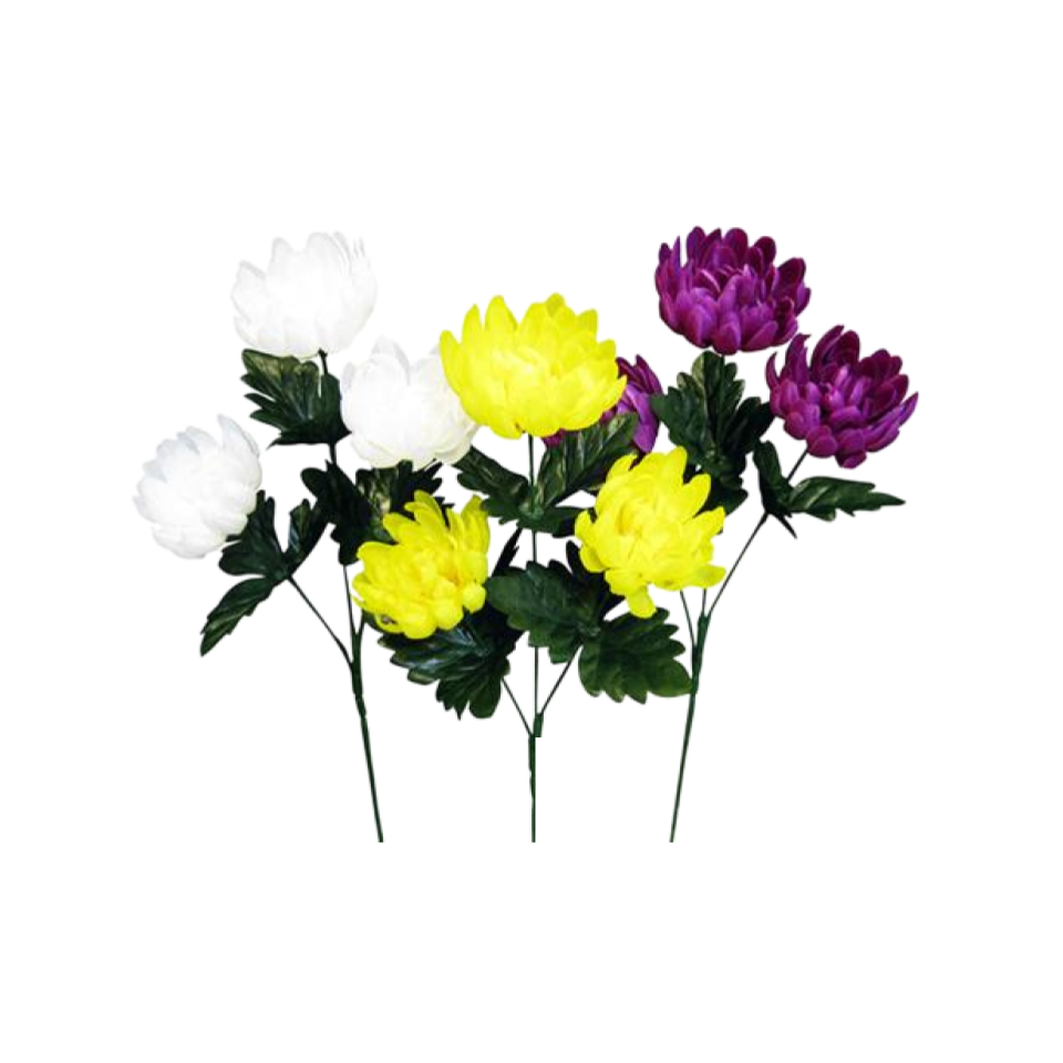 Three Chrysanthemums