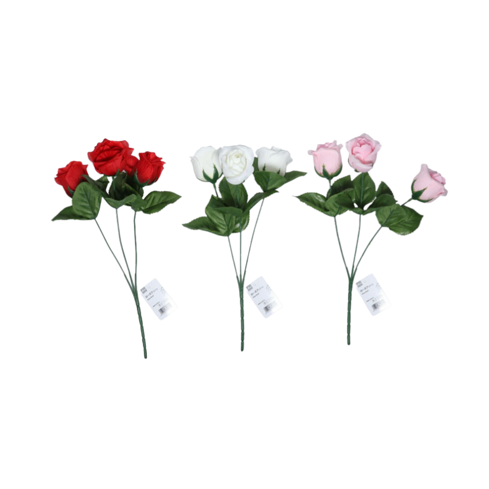 Rose Bush