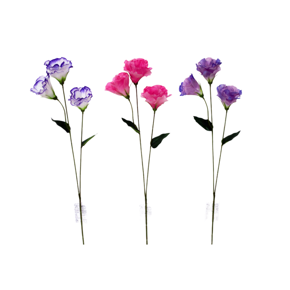 Eustoma