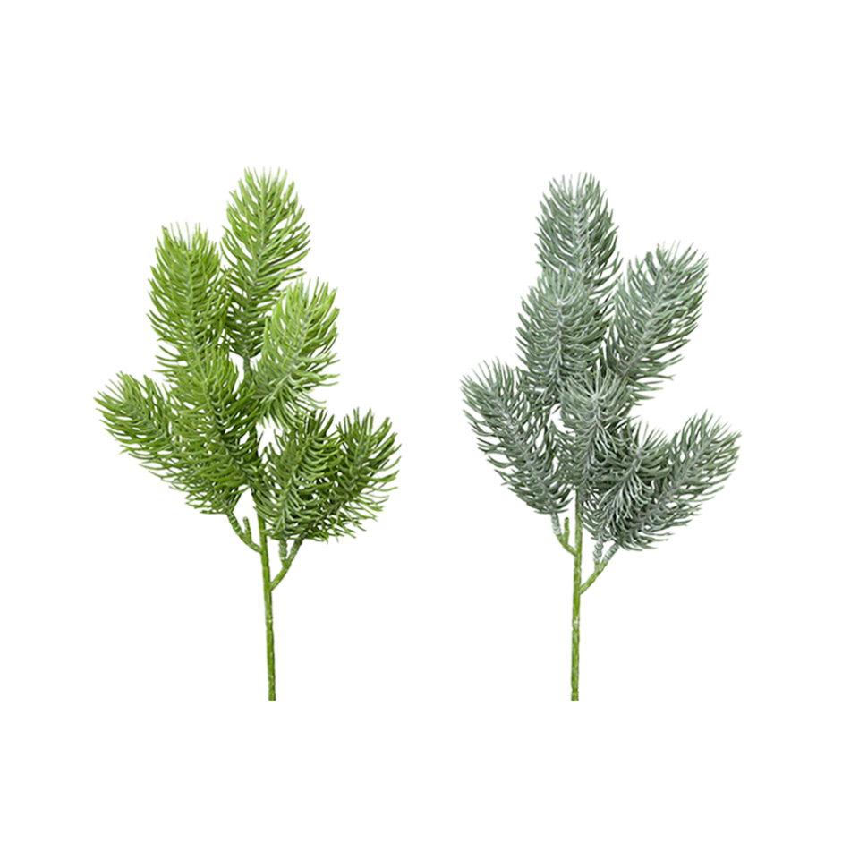 Needle Pine