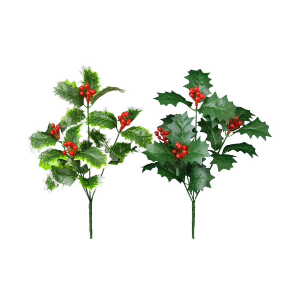 Holly Bush