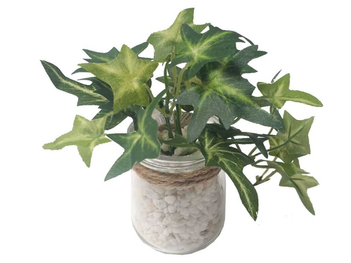 Green Pot 12cm
