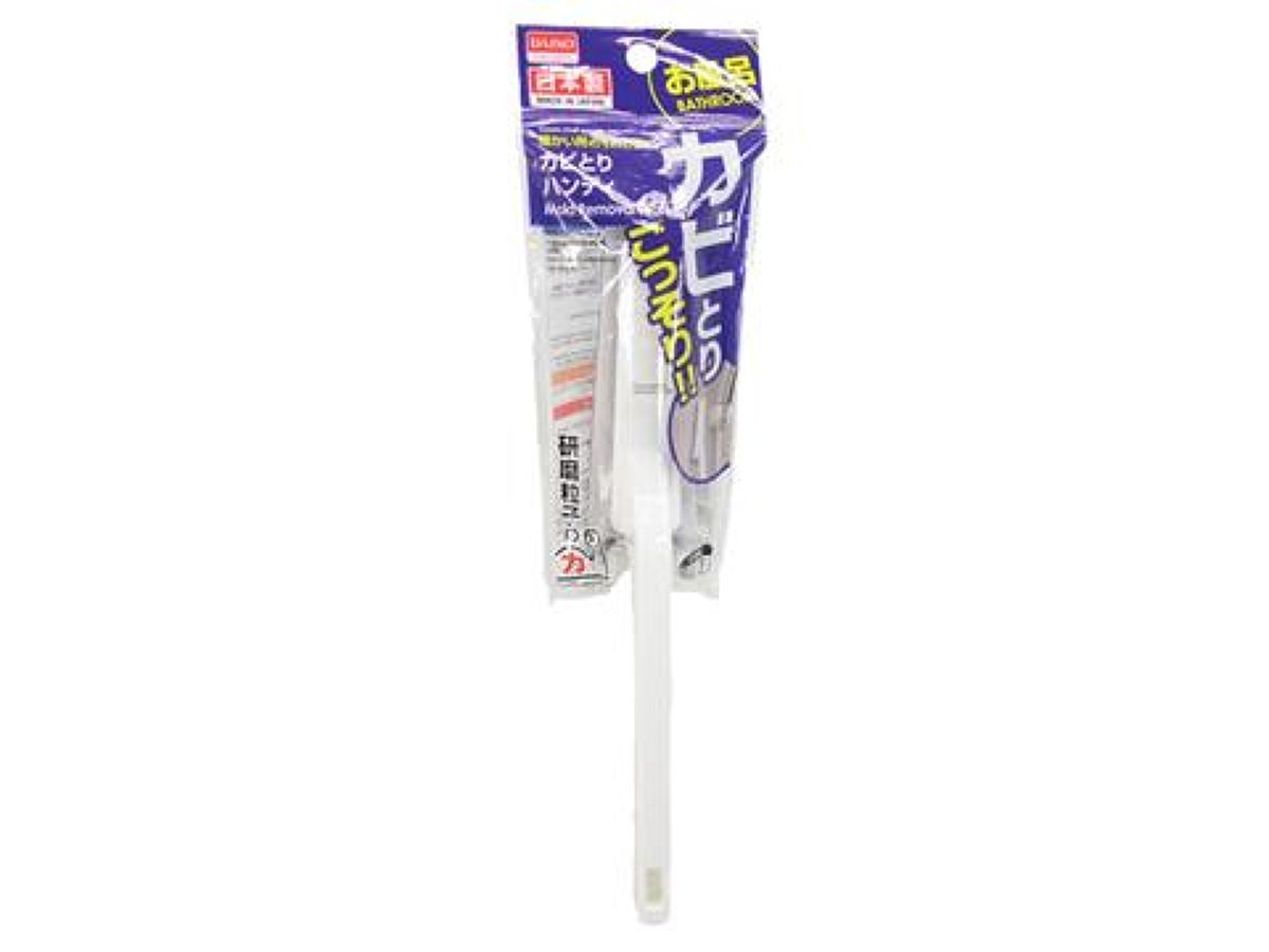 Mold Removal Tool