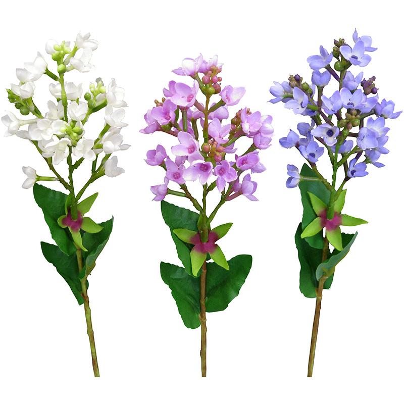 Lilac