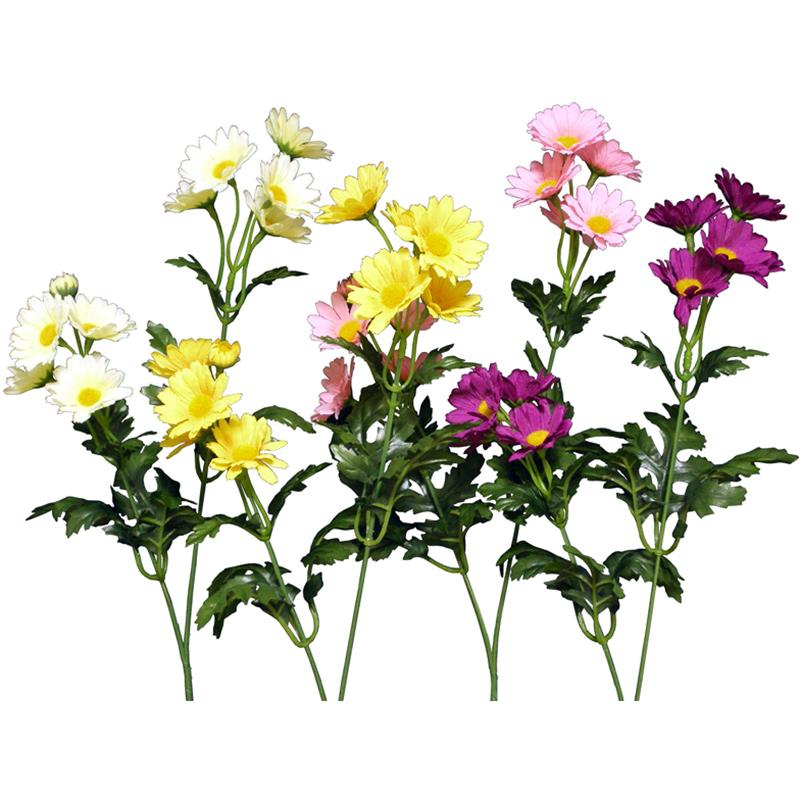 Small Mum
